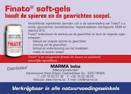 Culturele Betekenis Van Mieren