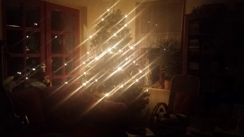 De Rol Van Mieren In Spiritualiteit En Esoterie