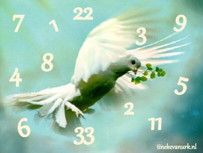 De Verschillende Soorten Vogels En Hun Betekenissen