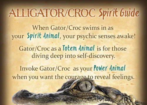 Diverse Droomsituaties Met Krokodillen