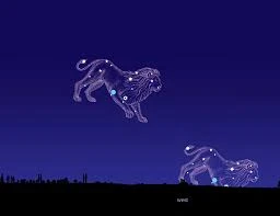 Droom Wc'S En Emotionele Loslaten