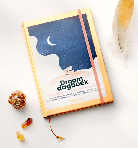 Droomdagboeken En Poep Dromen