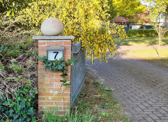 Het Getal 7 In De Bijbel