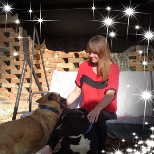 Praktische Tips Voor Dromers