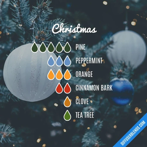 Psychologische Interpretatie Van Mieren