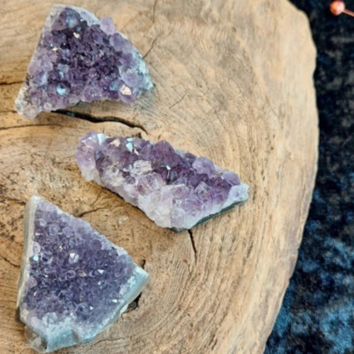 Symboliek Van De Tijger