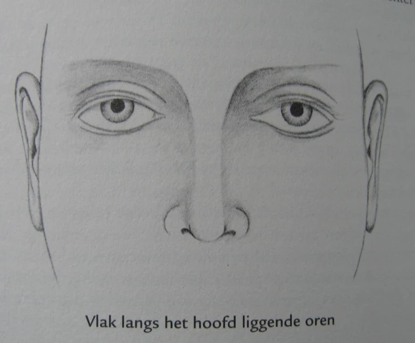 Tips Voor Een Juiste Verzorging Van Wenkbrauwen
