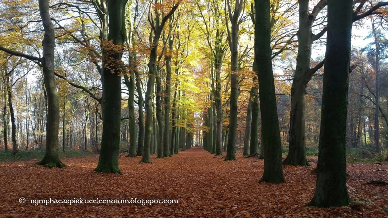 Verbinding Met De Natuur: Modder En Dromen